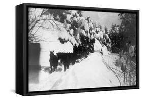 View of Stagecoach Driving through Snowy Mitchell Rd - Downieville, CA-Lantern Press-Framed Stretched Canvas