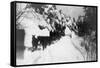 View of Stagecoach Driving through Snowy Mitchell Rd - Downieville, CA-Lantern Press-Framed Stretched Canvas