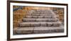 View of staircase, Jaffa, Tel Aviv, Israel-null-Framed Photographic Print