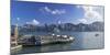 View of Star Ferry Terminal and Hong Kong Island skyline, Hong Kong, China-Ian Trower-Mounted Photographic Print