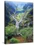 View of Steens Mountain at Little Blitzen River Gorge, Oregon, USA-Scott T. Smith-Stretched Canvas