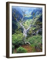 View of Steens Mountain at Little Blitzen River Gorge, Oregon, USA-Scott T. Smith-Framed Premium Photographic Print