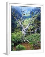 View of Steens Mountain at Little Blitzen River Gorge, Oregon, USA-Scott T. Smith-Framed Premium Photographic Print