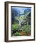 View of Steens Mountain at Little Blitzen River Gorge, Oregon, USA-Scott T. Smith-Framed Premium Photographic Print
