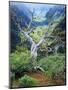 View of Steens Mountain at Little Blitzen River Gorge, Oregon, USA-Scott T. Smith-Mounted Photographic Print