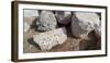 View of stones at archaeological site in ancient port city of Caesarea, Tel Aviv, Israel-null-Framed Photographic Print