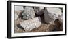 View of stones at archaeological site in ancient port city of Caesarea, Tel Aviv, Israel-null-Framed Photographic Print