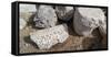 View of stones at archaeological site in ancient port city of Caesarea, Tel Aviv, Israel-null-Framed Stretched Canvas