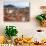 View of Stradun from City Wall, Dubrovnik, Croatia-Lisa S^ Engelbrecht-Photographic Print displayed on a wall