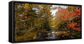View of stream in fall colors, Maine, USA-null-Framed Stretched Canvas