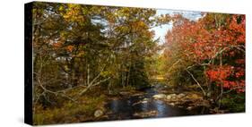 View of stream in fall colors, Maine, USA-null-Stretched Canvas