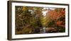 View of stream in fall colors, Maine, USA-null-Framed Photographic Print