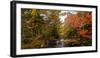 View of stream in fall colors, Maine, USA-null-Framed Photographic Print