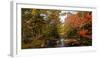 View of stream in fall colors, Maine, USA-null-Framed Photographic Print