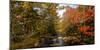 View of stream in fall colors, Maine, USA-null-Mounted Photographic Print