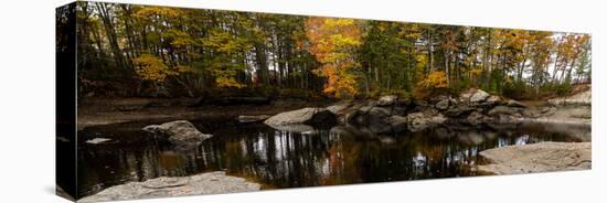 View of stream in fall colors, Maine, USA-null-Stretched Canvas