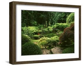 View of Strolling Pond Garden, Portland, Oregon, USA-Adam Jones-Framed Premium Photographic Print