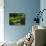 View of Strolling Pond Garden, Portland, Oregon, USA-Adam Jones-Photographic Print displayed on a wall