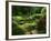 View of Strolling Pond Garden, Portland, Oregon, USA-Adam Jones-Framed Photographic Print