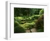 View of Strolling Pond Garden, Portland, Oregon, USA-Adam Jones-Framed Photographic Print