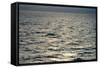 View of Sunlit Waves on Open Water-Kaj Svensson-Framed Stretched Canvas