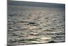 View of Sunlit Waves on Open Water-Kaj Svensson-Mounted Photographic Print