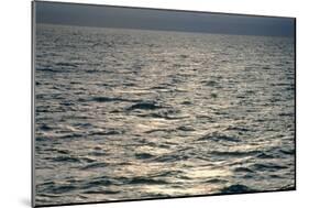 View of Sunlit Waves on Open Water-Kaj Svensson-Mounted Photographic Print