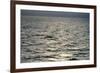 View of Sunlit Waves on Open Water-Kaj Svensson-Framed Photographic Print
