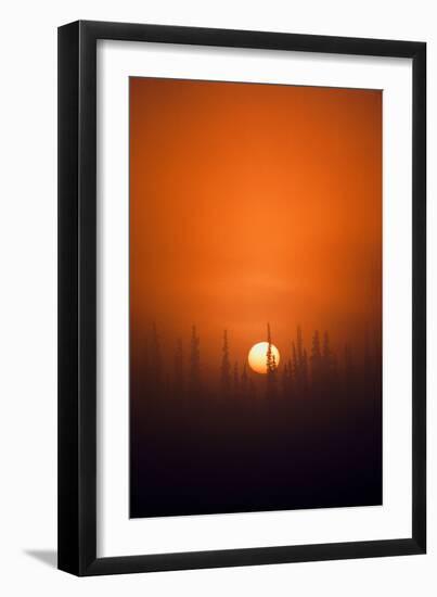 View of Sunrise over Spruces Trees, Fairbanks, Alaska, USA-Hugh Rose-Framed Premium Photographic Print