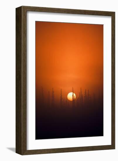 View of Sunrise over Spruces Trees, Fairbanks, Alaska, USA-Hugh Rose-Framed Photographic Print
