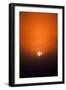 View of Sunrise over Spruces Trees, Fairbanks, Alaska, USA-Hugh Rose-Framed Photographic Print