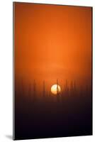 View of Sunrise over Spruces Trees, Fairbanks, Alaska, USA-Hugh Rose-Mounted Photographic Print