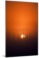 View of Sunrise over Spruces Trees, Fairbanks, Alaska, USA-Hugh Rose-Mounted Photographic Print