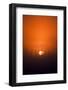 View of Sunrise over Spruces Trees, Fairbanks, Alaska, USA-Hugh Rose-Framed Photographic Print