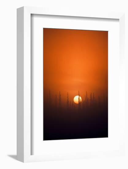 View of Sunrise over Spruces Trees, Fairbanks, Alaska, USA-Hugh Rose-Framed Photographic Print