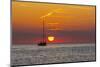 View of sunset and sailboat on Adriatic Sea from the old town, Rovinj, Istria, Croatia-Frank Fell-Mounted Photographic Print