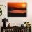 View of Sunset at San Juan Island, Washington State, USA-Stuart Westmorland-Photographic Print displayed on a wall