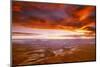 View of sunset over canyon, Canyonlands National Park, Utah, USA-Panoramic Images-Mounted Photographic Print