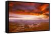 View of sunset over canyon, Canyonlands National Park, Utah, USA-Panoramic Images-Framed Stretched Canvas