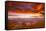 View of sunset over canyon, Canyonlands National Park, Utah, USA-Panoramic Images-Framed Stretched Canvas