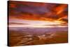 View of sunset over canyon, Canyonlands National Park, Utah, USA-Panoramic Images-Stretched Canvas