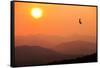 View of sunset over mountains with flying swift, Cumbria, UK-Ashley Cooper-Framed Stretched Canvas