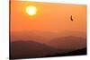 View of sunset over mountains with flying swift, Cumbria, UK-Ashley Cooper-Stretched Canvas