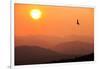 View of sunset over mountains with flying swift, Cumbria, UK-Ashley Cooper-Framed Photographic Print