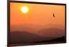 View of sunset over mountains with flying swift, Cumbria, UK-Ashley Cooper-Framed Photographic Print