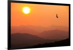 View of sunset over mountains with flying swift, Cumbria, UK-Ashley Cooper-Framed Photographic Print