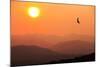 View of sunset over mountains with flying swift, Cumbria, UK-Ashley Cooper-Mounted Photographic Print