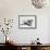 View of Supersonic Planes-null-Framed Stretched Canvas displayed on a wall