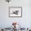 View of Supersonic Planes-null-Framed Photographic Print displayed on a wall