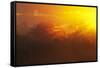 View of swamp habitat at sunrise, Everglades, Florida, USA-David Tipling-Framed Stretched Canvas